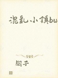 《混乱小镇bug》小说封面