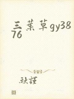 三叶草gy3876封面