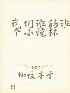 我们班的班花是个小烧杯