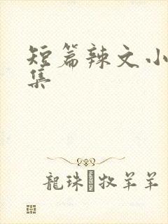 短篇辣文小说合集