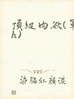 顶级肉欲(军高h)