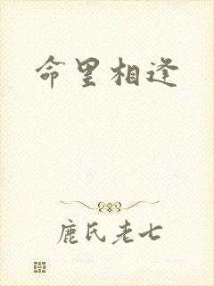 命里相逢