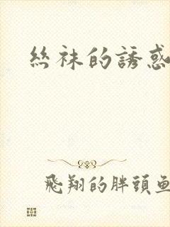 丝袜的诱惑小说