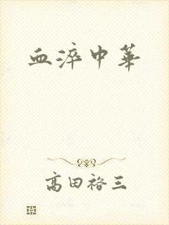 血淬中华