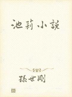 池莉小说