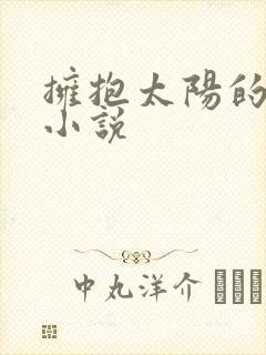 《拥抱太阳的月亮小说》小说封面