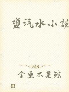 盐汽水小说