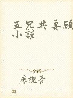 五兄共妻顾心儿小说