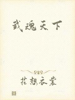 武魂天下