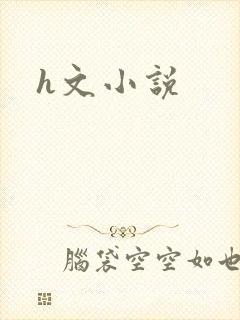h文小说