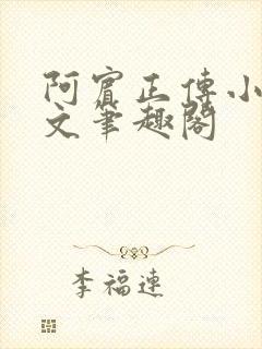 阿宾正传小说全文笔趣阁封面