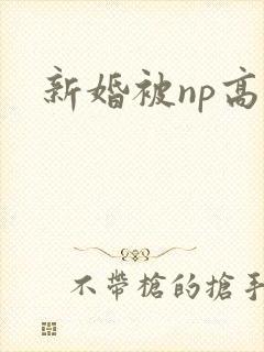 新婚被np高h