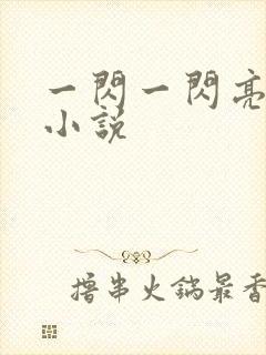 一闪一闪亮星星小说