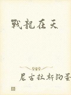 战龙在天