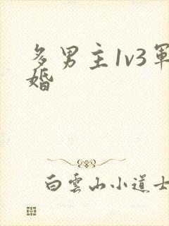 多男主1v3军婚