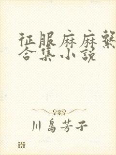 征服麻麻系列大合集小说