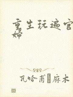 重生玩遍官场贵妇