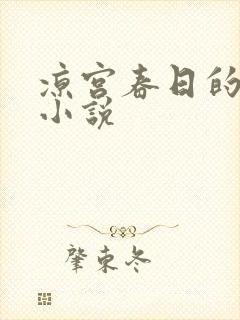 凉宫春日的忧郁小说