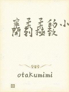 宁柔柔的小泬撑开到极致