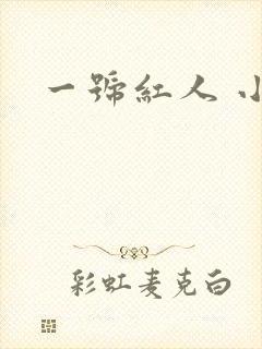 一号红人 小说