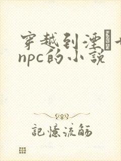 穿越到湮婸世界npc的小说