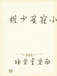 权少蜜宠小娇妻