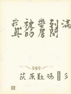 我被带到满是玩具的房间