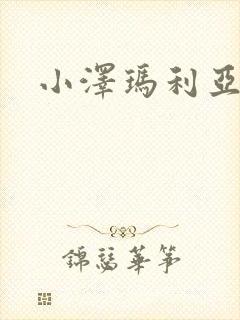 小泽玛利亚作品