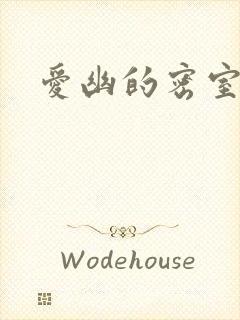 爱幽的密室小说封面