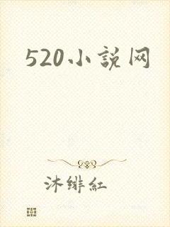 520小说网