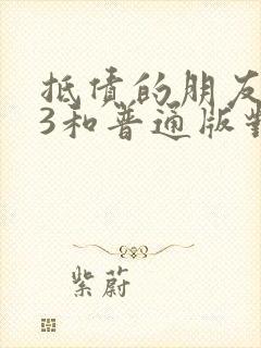 抵债的朋友麦子3和普通版对比