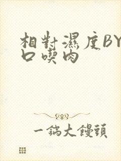 相对湿度BY大口吃肉