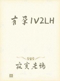 有孕1V2LH