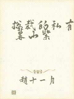 总裁的私有宝贝 暮山紫