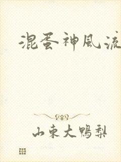 混蛋神风流
