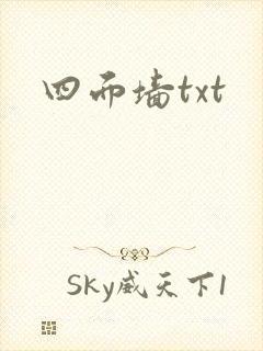 四面墙txt