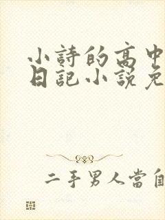 小诗的高中成长日记小说免费阅读