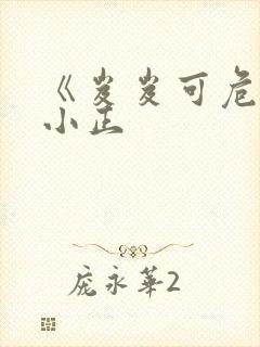 《岌岌可危》夏小正封面