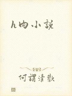 h肉小说