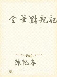 金笔点龙记封面