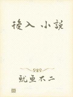 后入 小说