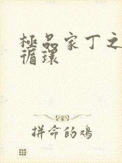 极品家丁之因果循环