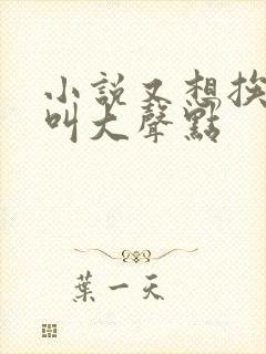 小说又想挨C了叫大声点