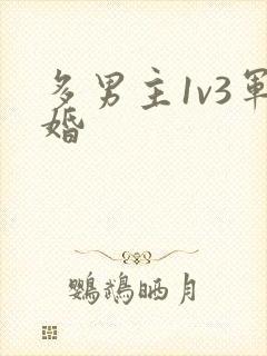 多男主1v3军婚