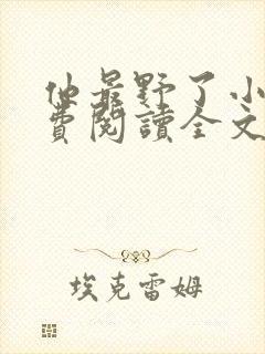 他最野了小说免费阅读全文