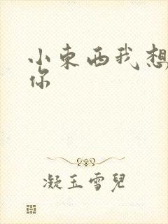 小东西我想弄坏你