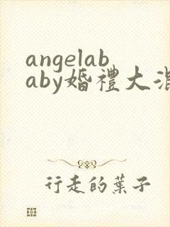 angelababy婚礼大混战封面