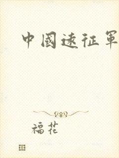 中国远征军小说