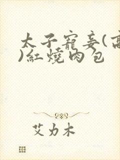 太子宠妾(高肉)红烧肉包