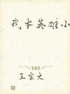 我本英雄小说